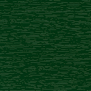 Zielony 13